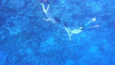 球球大作战下载最新版